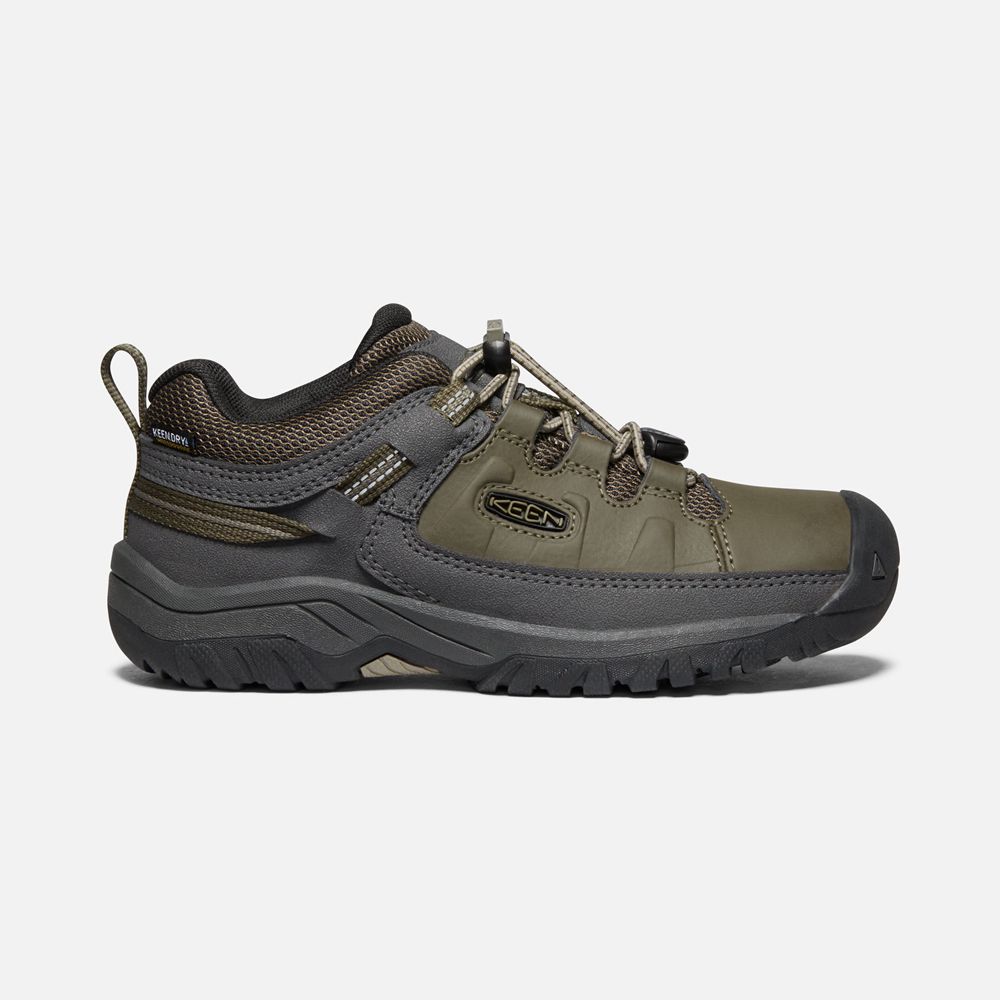 Chaussure de Randonnée Keen Enfant Vert Olive | Targhee Waterproof | YDBAV-3501